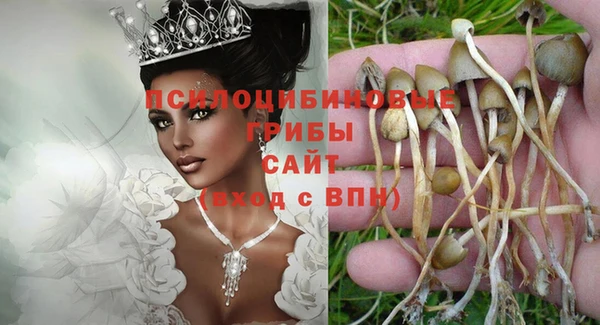 МДПВ Касимов