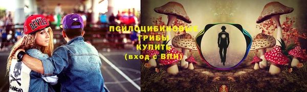 ПСИЛОЦИБИНОВЫЕ ГРИБЫ Алексин