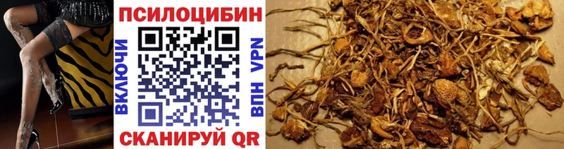Галлюциногенные грибы MAGIC MUSHROOMS  купить  сайты  Сосенский 
