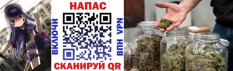 Бошки Шишки гибрид  Сосенский 